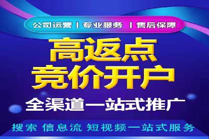 百度竞价广告创意设计：成功案例解析及启示